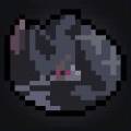 20240409-002227.jpeg