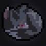 20240409-002227.jpeg
