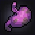 20240410-114157.jpeg